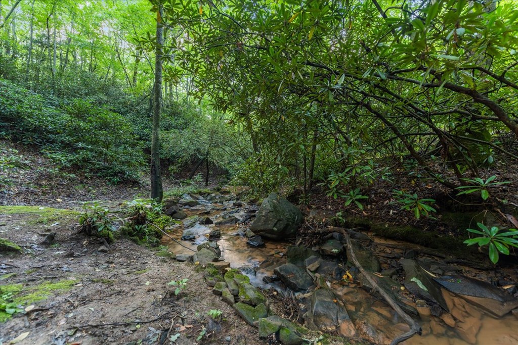 126 Brookwood Drive Blue Ridge, GA 30513 - Photo 22 of 84 a view of a forest with trees in the background