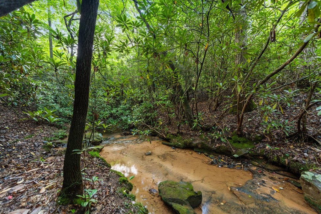 126 Brookwood Drive Blue Ridge, GA 30513 - Photo 24 of 84 a view of backyard with green space