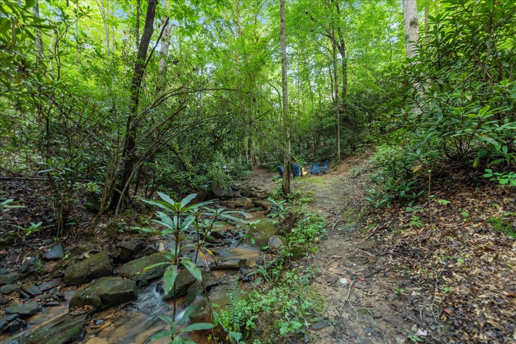 126 Brookwood Drive Blue Ridge, GA 30513 - Photo 25 of 84 a view of a forest with lots of trees
