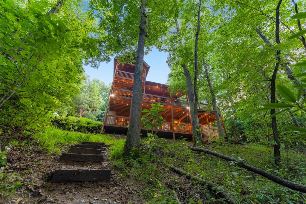 126 Brookwood Drive Blue Ridge, GA 30513 - Photo 27 of 84 a view of a park with large trees