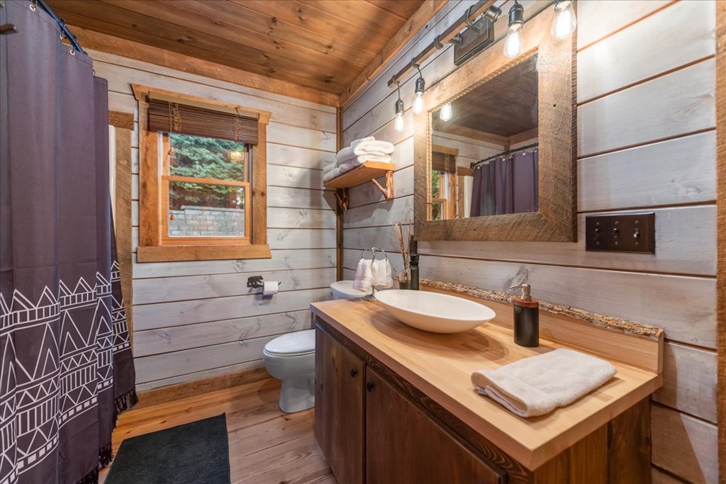 126 Brookwood Drive Blue Ridge, GA 30513 - Photo 28 of 84 a bathroom with a sink and a toilet