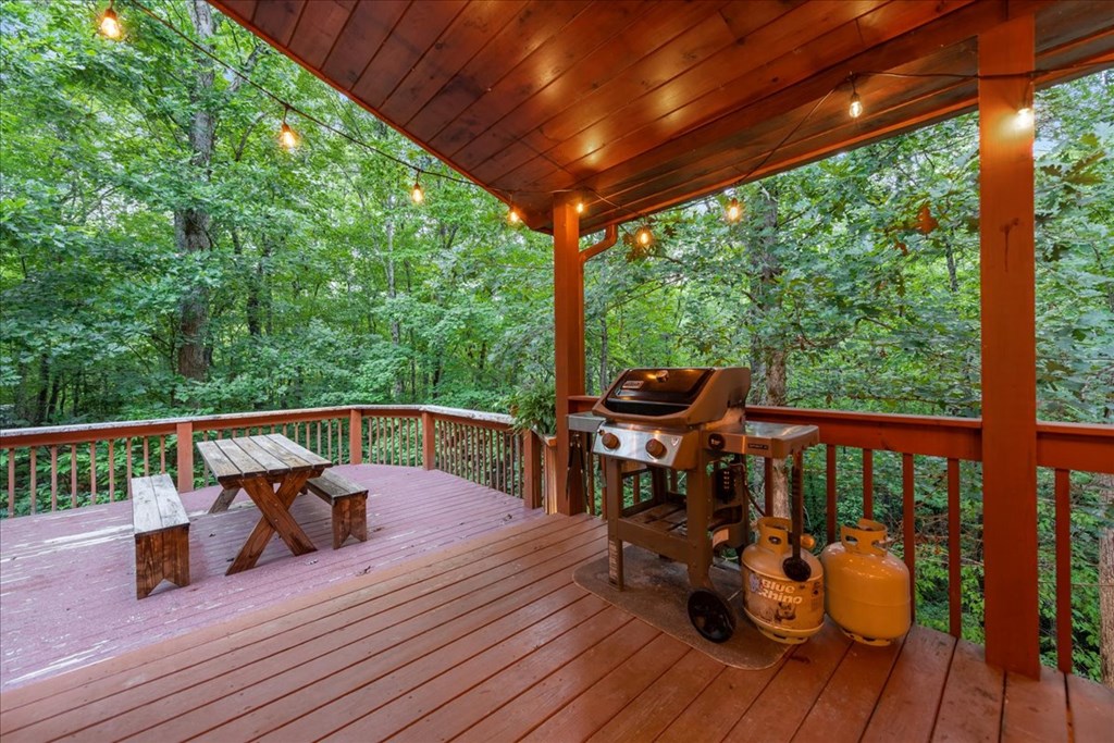 126 Brookwood Drive Blue Ridge, GA 30513 - Photo 46 of 84