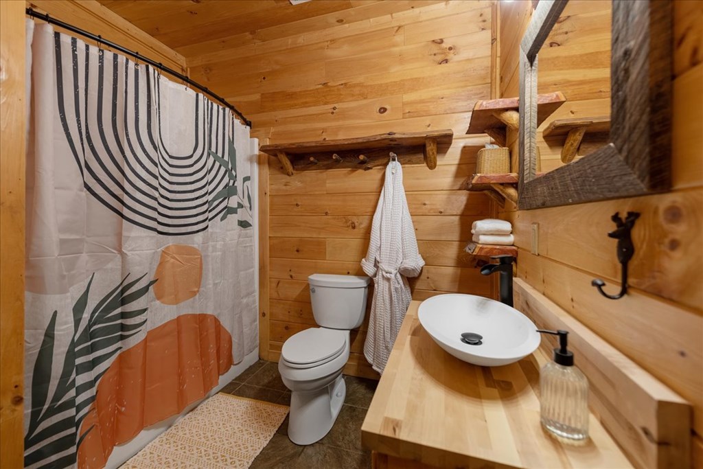 126 Brookwood Drive Blue Ridge, GA 30513 - Photo 76 of 84 a bathroom with a toilet and a sink