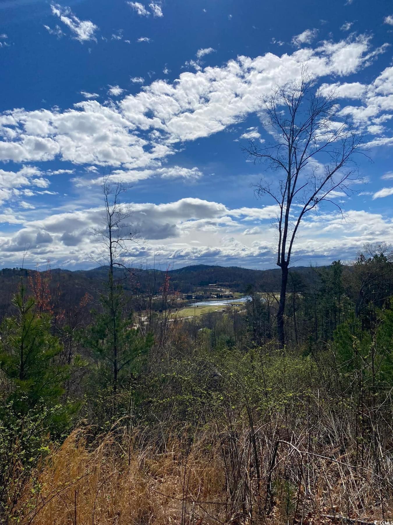 177 River Road Marietta, SC 29661 - Photo 33 of 40