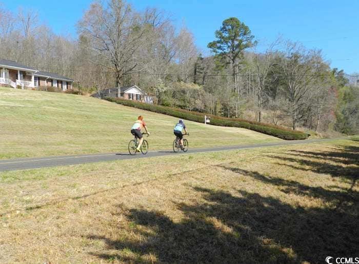 177 River Road Marietta, SC 29661 - Photo 34 of 40