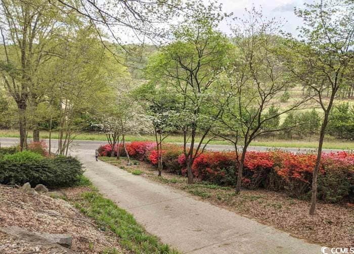 177 River Road Marietta, SC 29661 - Photo 36 of 40