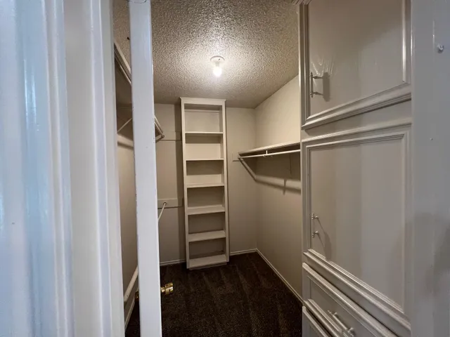 a view of walk in closet with empty racks