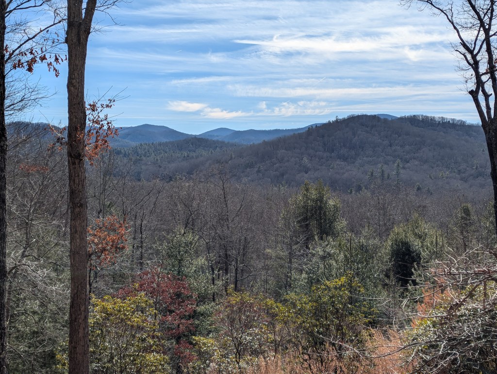 1722 Peter Knob Road Blue Ridge, GA 30513 - Photo 17 of 26 Gallery Image 17