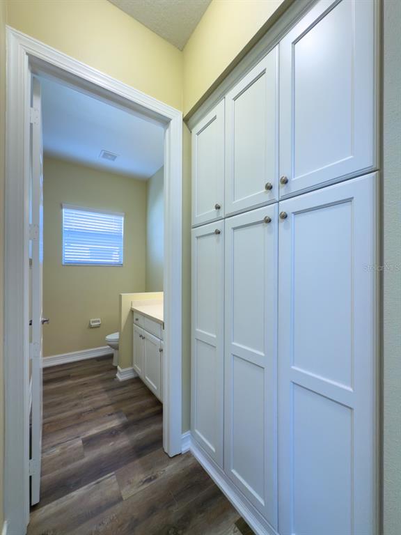 16122 Cedar Key Drive Wimauma, FL 33598 - Photo 20 of 98 a bathroom with a sink a toilet and shower