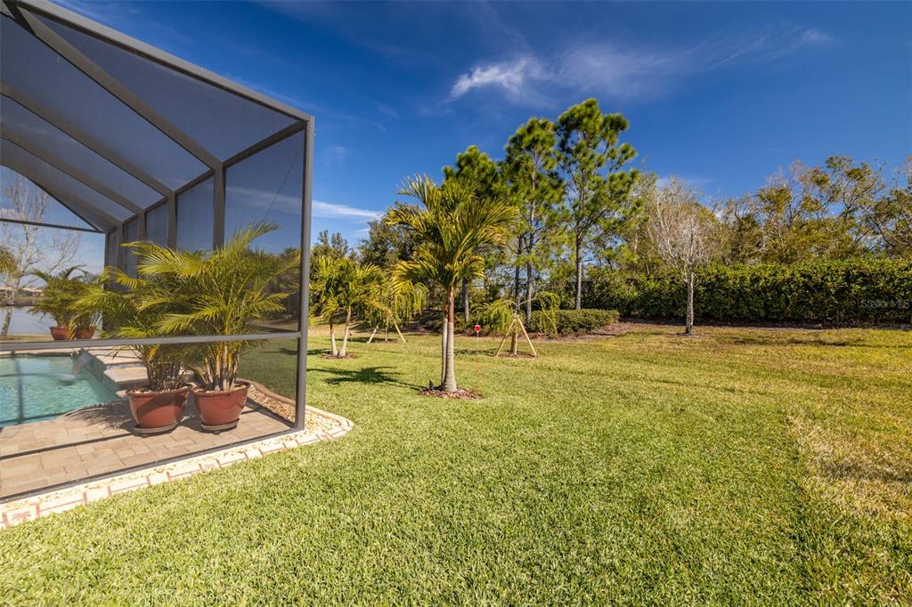 16122 Cedar Key Drive Wimauma, FL 33598 - Photo 42 of 98 a backyard of a house with lots of green space