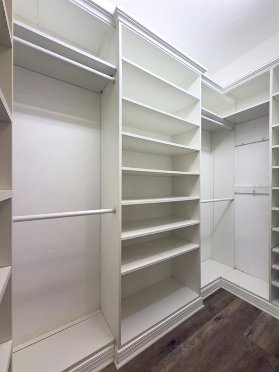 16122 Cedar Key Drive Wimauma, FL 33598 - Photo 48 of 98 a view of walk in closet with empty racks