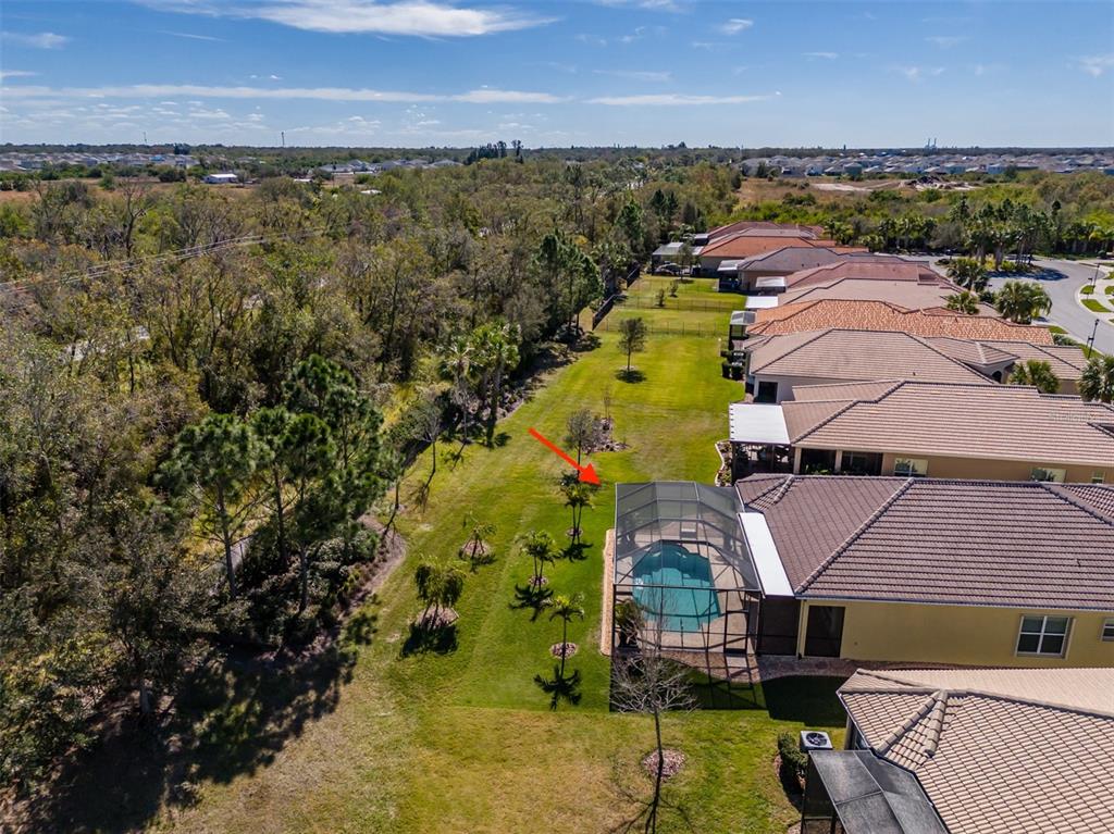 16122 Cedar Key Drive Wimauma, FL 33598 - Photo 57 of 98 an aerial view of residential house with outdoor space and trees all around