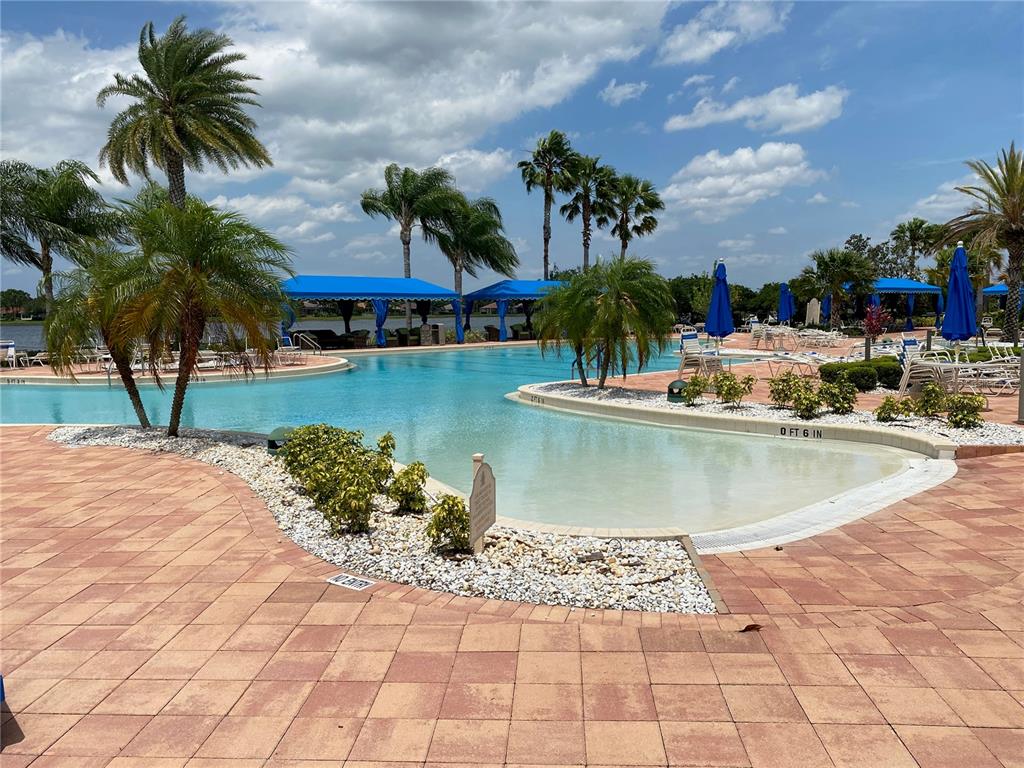 16122 Cedar Key Drive Wimauma, FL 33598 - Photo 64 of 98 a view of a swimming pool with a lawn chairs and palm trees