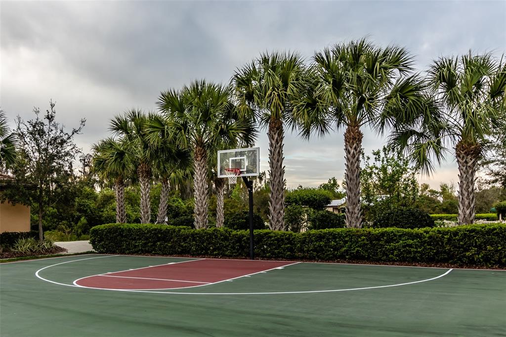 16122 Cedar Key Drive Wimauma, FL 33598 - Photo 84 of 98 a view of a basketball court