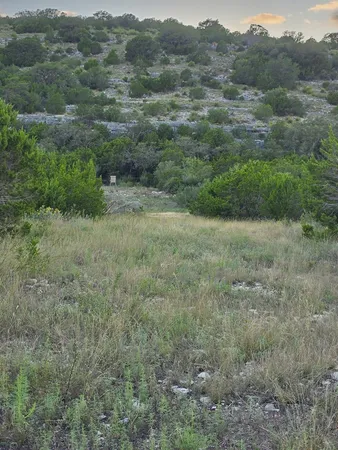 a view of a field with lots of trees