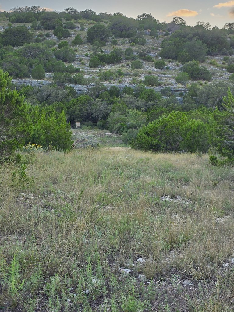 Undisclosed Address Rocksprings, TX 78880 - Photo 2 of 34