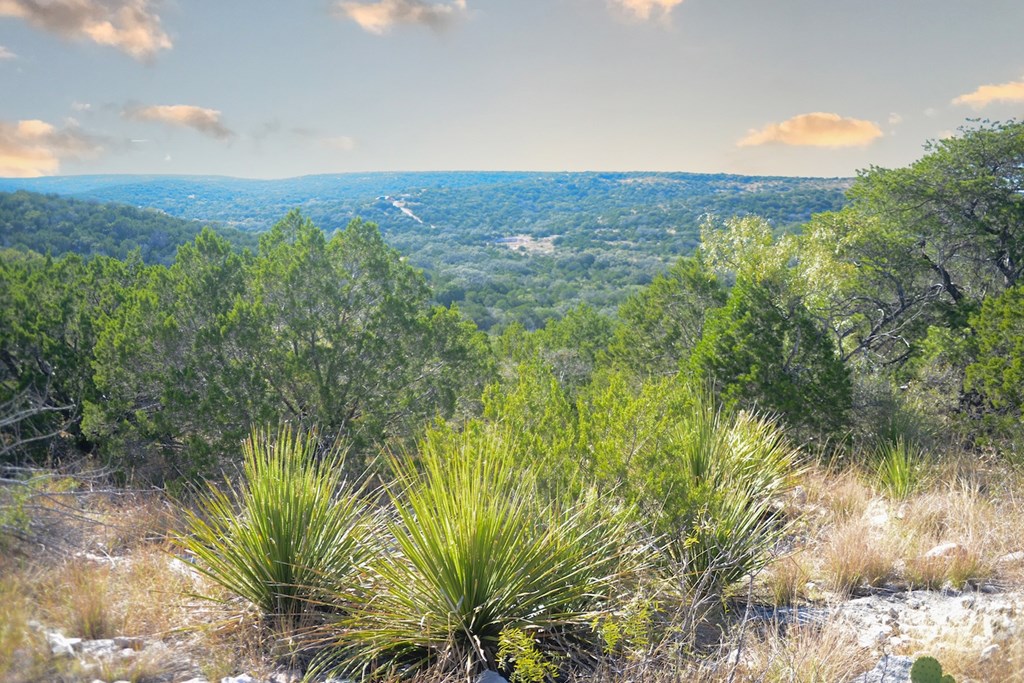 Undisclosed Address Rocksprings, TX 78880 - Photo 22 of 34