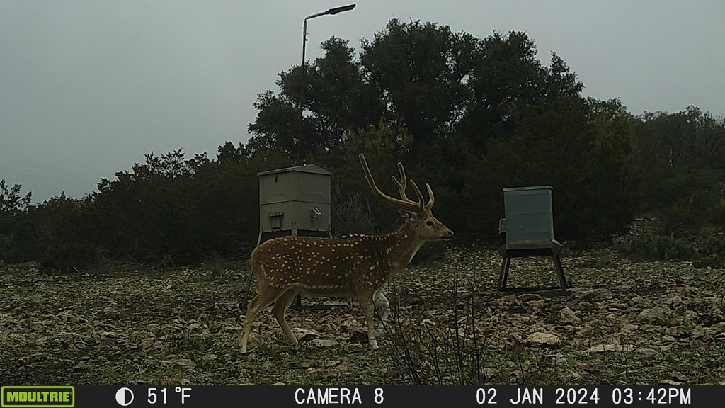 Undisclosed Address Rocksprings, TX 78880 - Photo 28 of 34