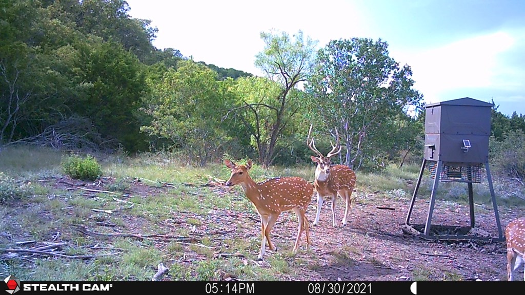 Undisclosed Address Rocksprings, TX 78880 - Photo 29 of 34
