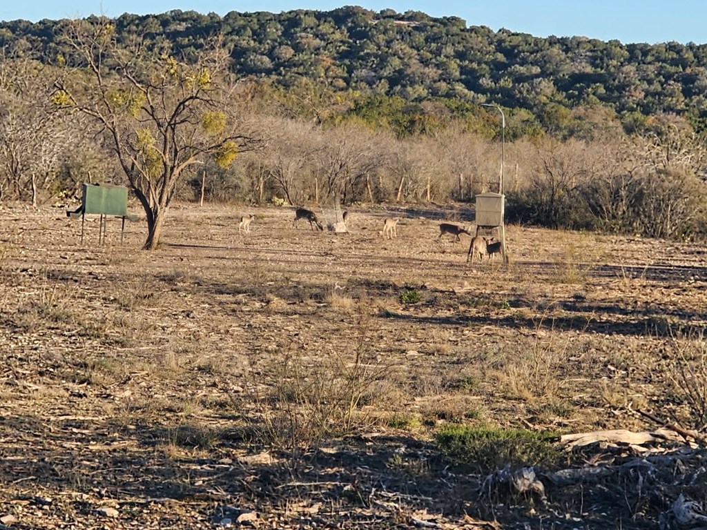 Undisclosed Address Rocksprings, TX 78880 - Photo 32 of 34