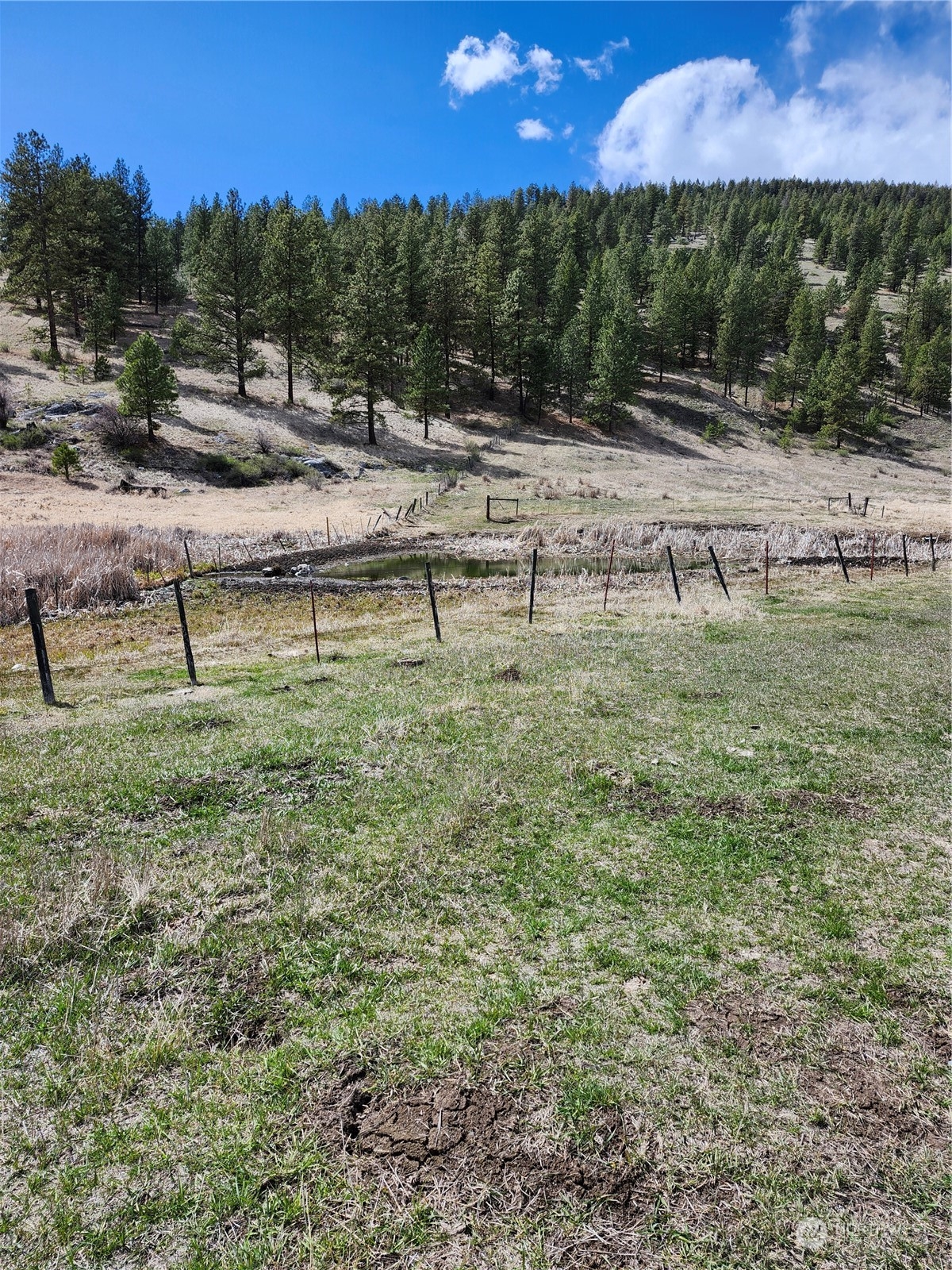14 Dry Gulch Road Oroville, WA 98844 - Photo 3 of 4 a view of a lake with a house
