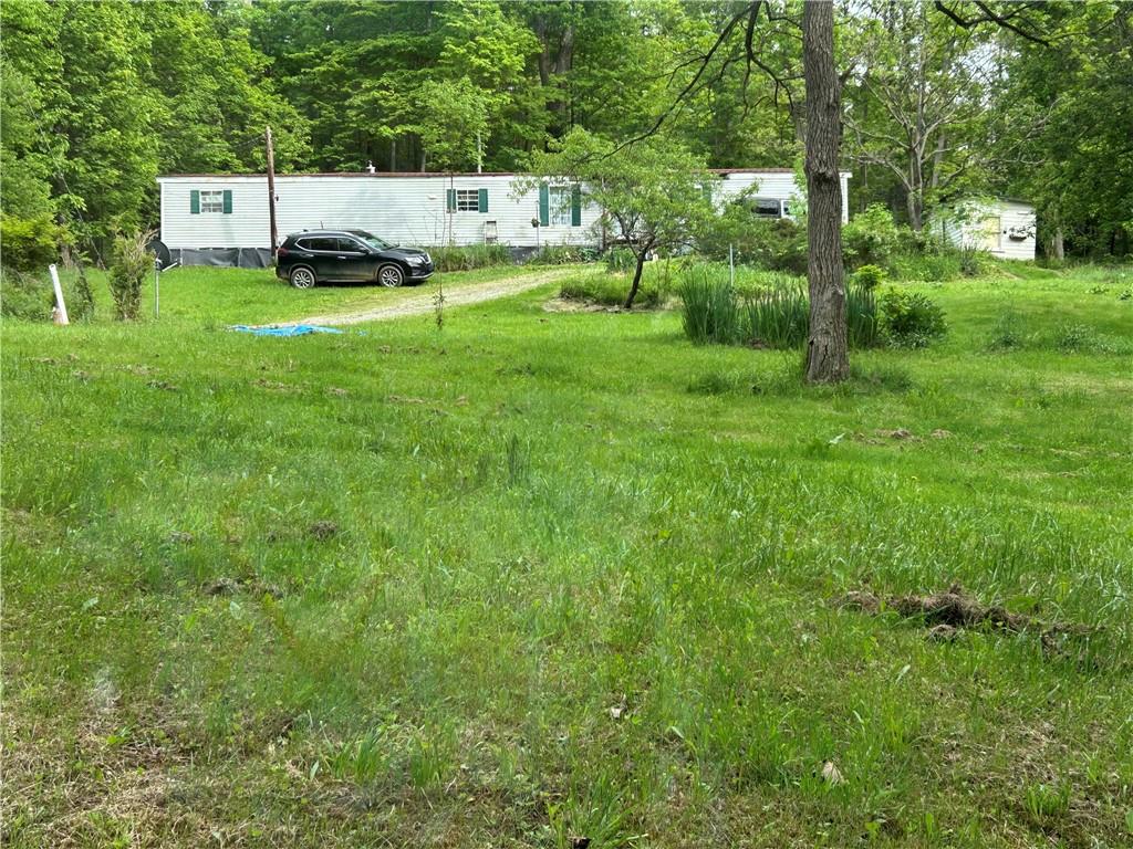 170 Clarks Hollow Rd Spring Vandergrift, PA 15690 - Photo 2 of 12