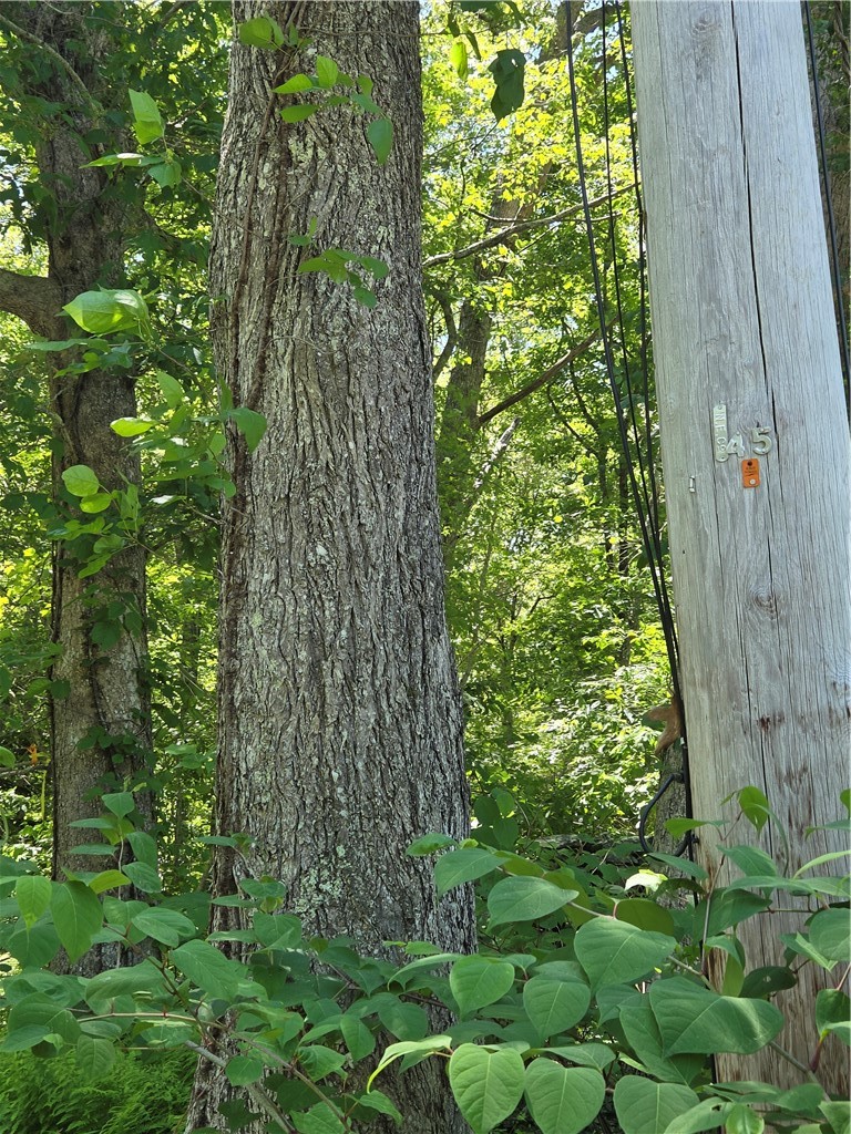 85 Diamond Hill Road Hopkinton, RI 02808 - Photo 4 of 8