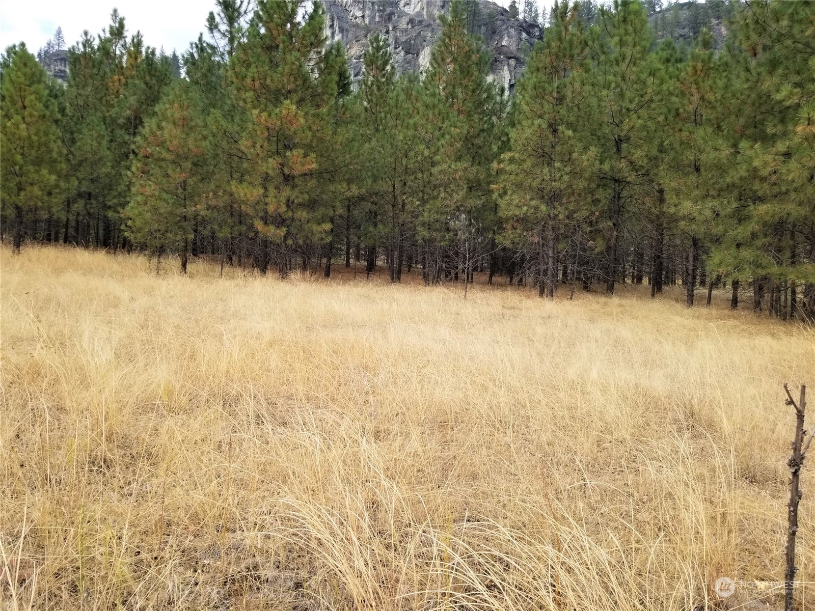 29 Rock Face Road Curlew, WA 99118 - Photo 16 of 17 Gallery Image 16