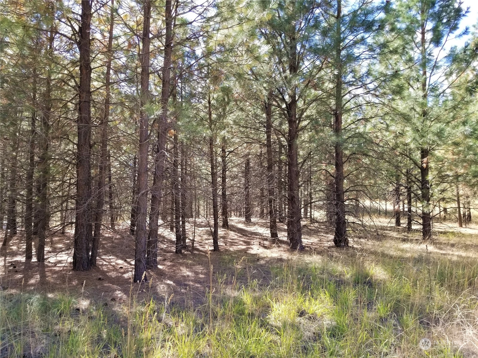 29 Rock Face Road Curlew, WA 99118 - Photo 3 of 17 Gallery Image 3