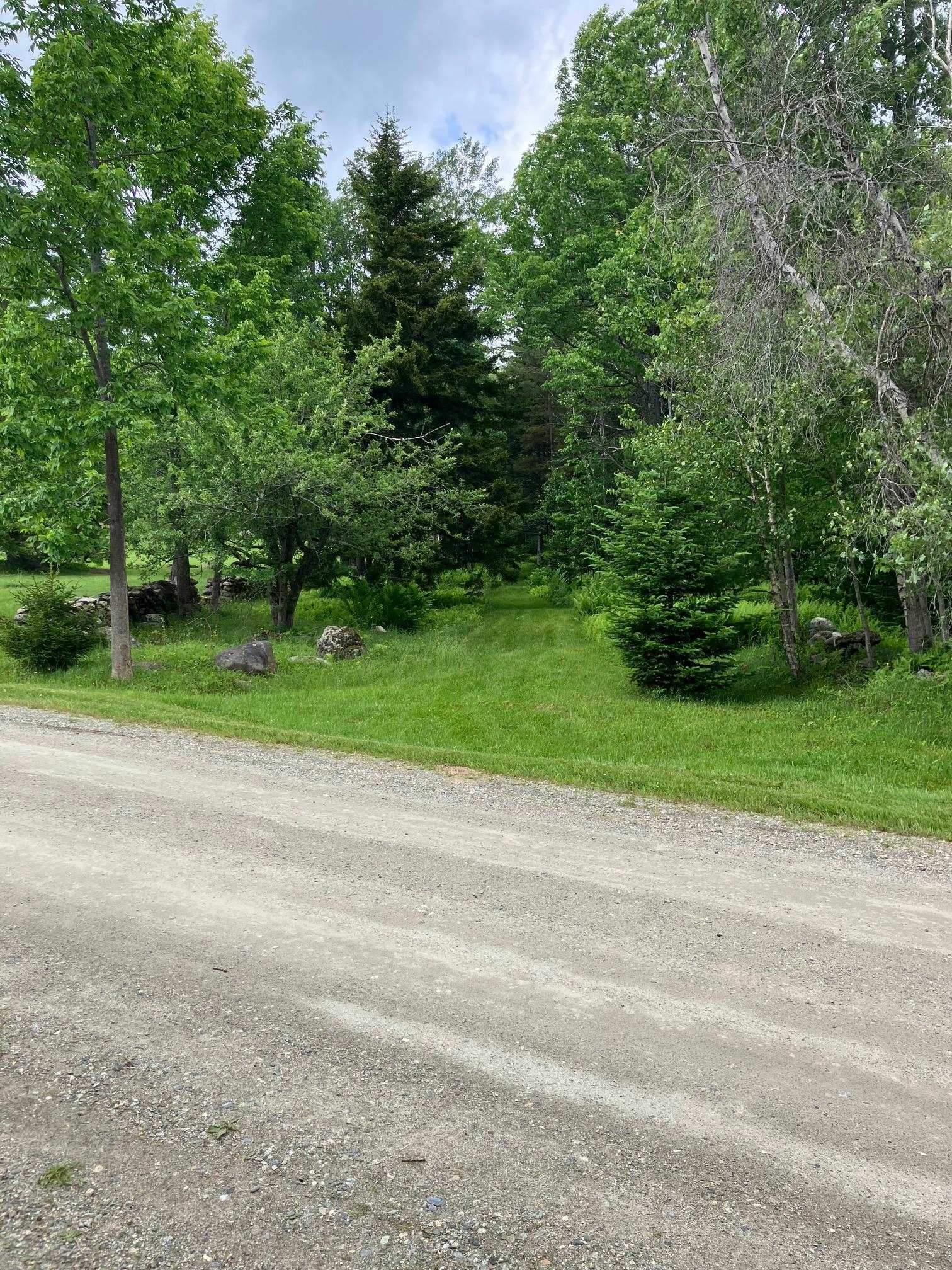 0 Hall Road Wilmington, VT 05363 - Photo 4 of 5