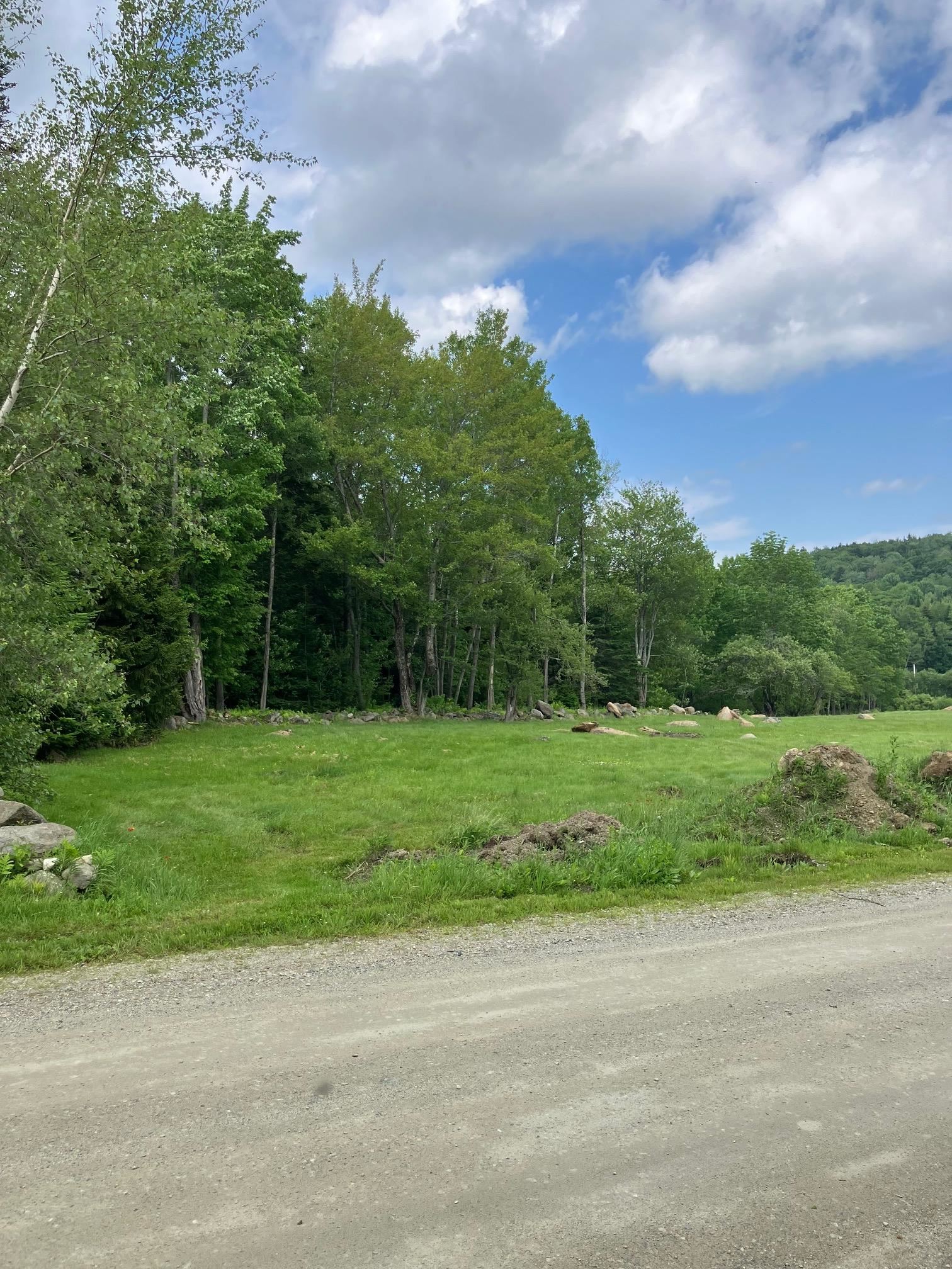 0 Hall Road Wilmington, VT 05363 - Photo 5 of 5