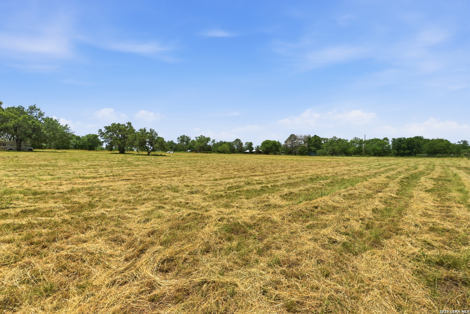 14160 Dubose Road Atascosa, TX 78002 - Photo 11 of 13