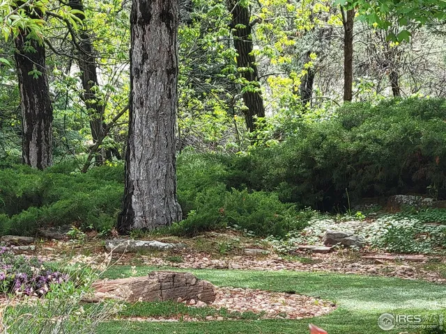 a view of a garden with a flower garden