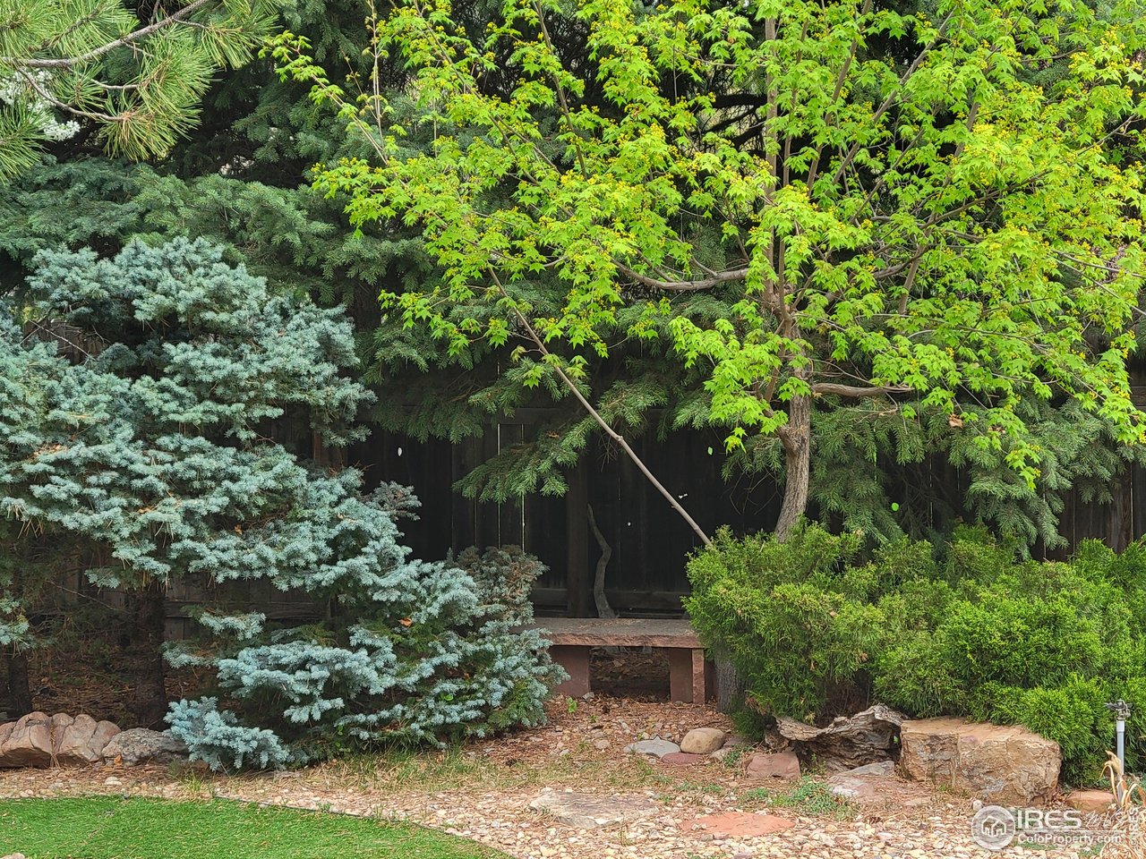 4311 Pali Way Boulder, CO 80301 - Photo 34 of 46 Backyard landscaping is lush and unique!