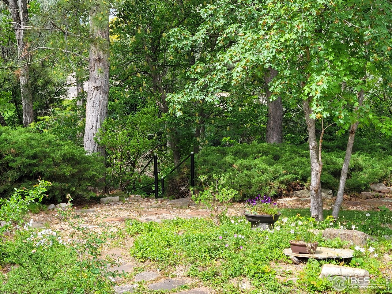 4311 Pali Way Boulder, CO 80301 - Photo 35 of 46 Backyard landscaping is lush and unique!