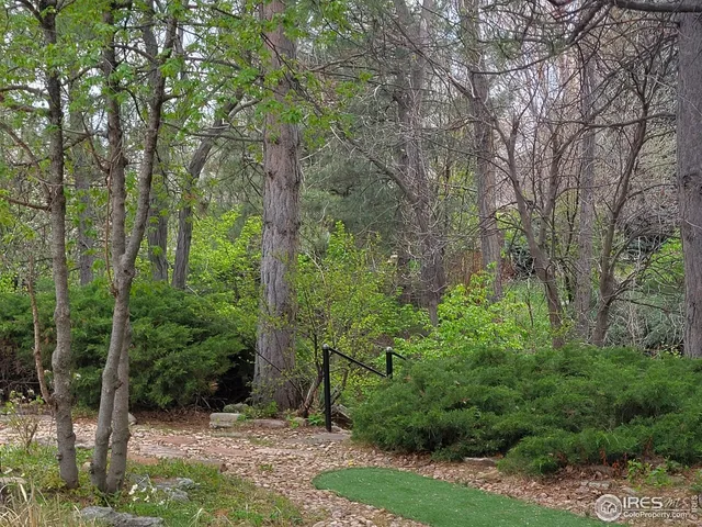 a view of a yard with plants and large trees