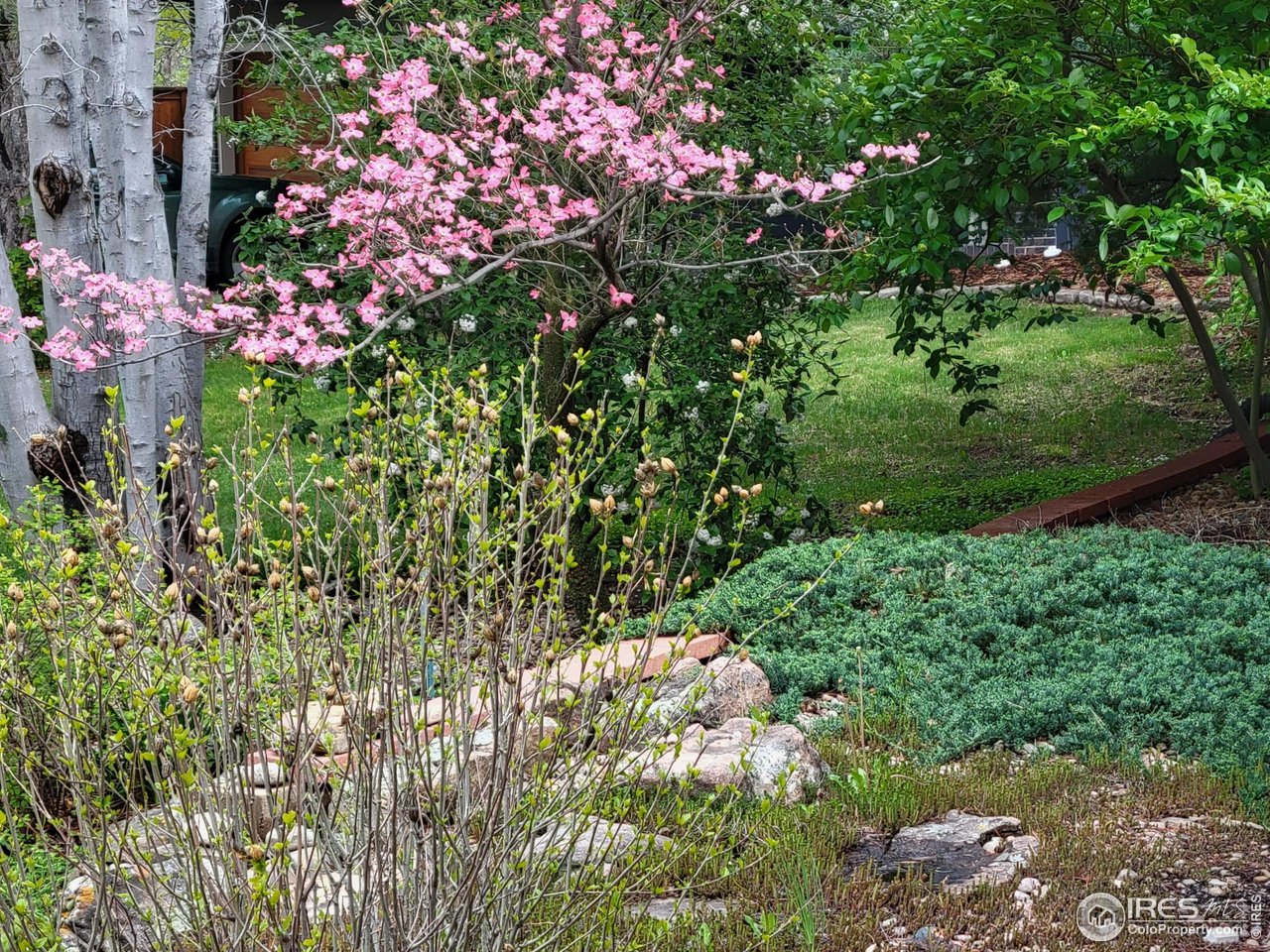 4311 Pali Way Boulder, CO 80301 - Photo 37 of 46 Backyard landscaping is lush and unique!