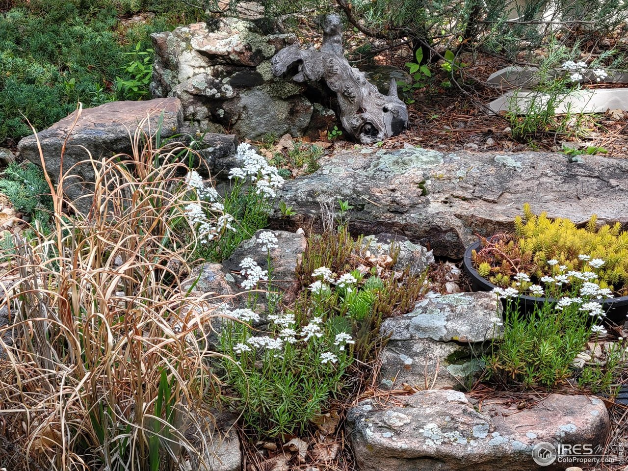 4311 Pali Way Boulder, CO 80301 - Photo 40 of 46 Backyard landscaping is lush and unique!