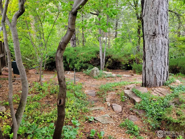 a backyard of a house with a garden and plants