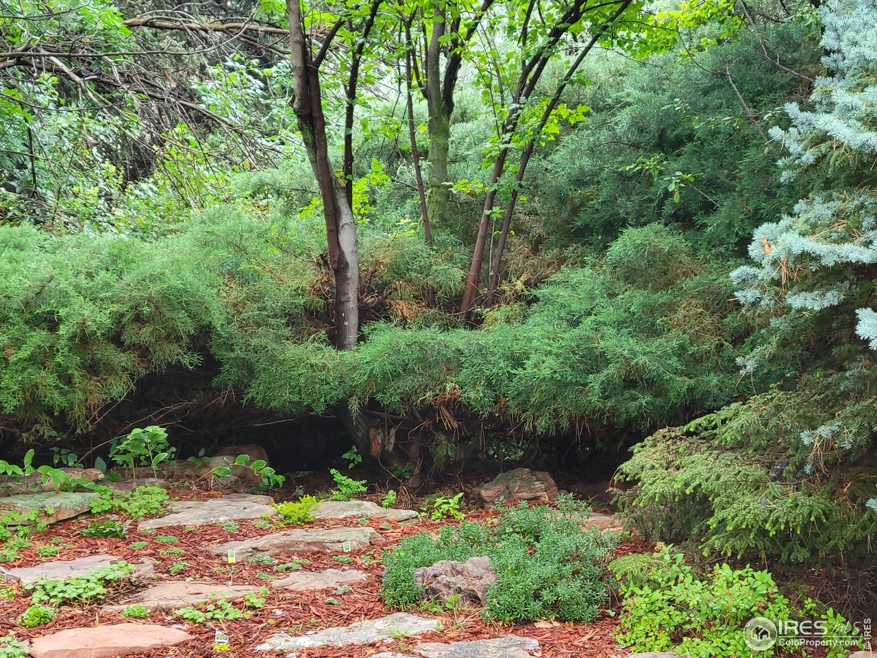 4311 Pali Way Boulder, CO 80301 - Photo 44 of 46 Walking paths, privacy and a yard to get lost in!