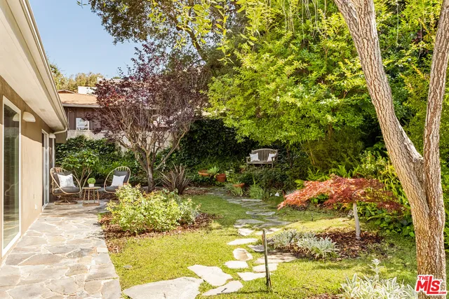 a view of a garden with plants