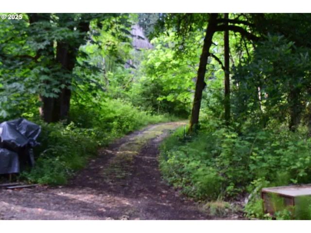 a view of outdoor space and garden