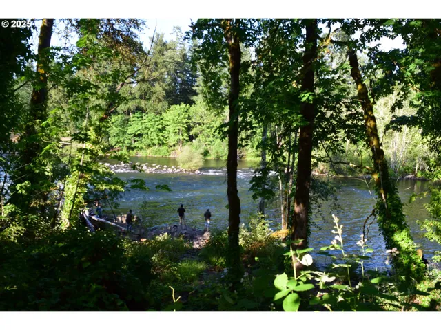 a view of a lake with a tree