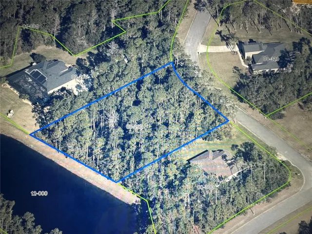 a view of a yard with a wooden street