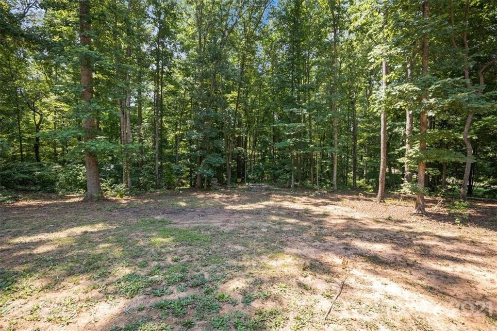769 Shady Forest Road Clover, SC 29710 - Photo 33 of 36 a view of a yard with a tree