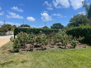 212 Southwest 1st Avenue Delray Beach, FL 33444 - Photo 12 of 13 View