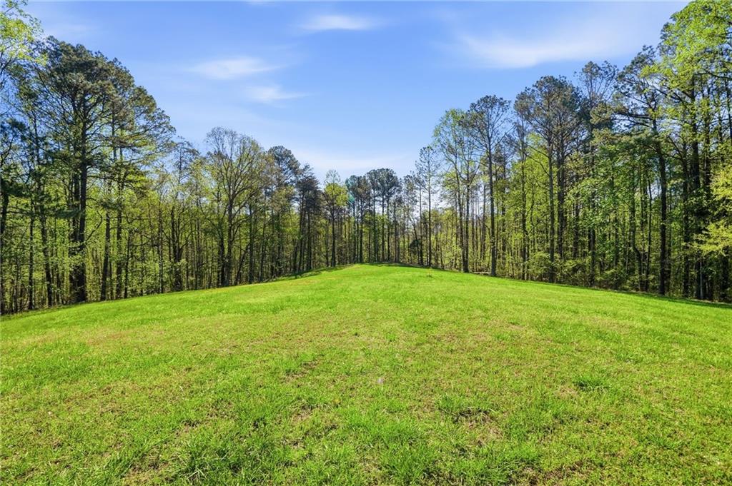 3060 Cherry Grove Road Ball Ground, GA 30107 - Photo 61 of 71