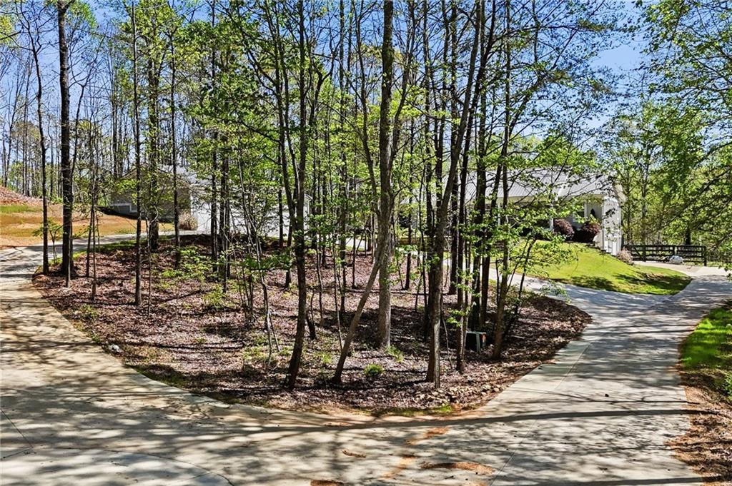 3060 Cherry Grove Road Ball Ground, GA 30107 - Photo 63 of 71