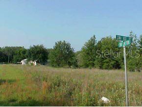 Lot 10 Southwest Lot Terrace Dunnellon, FL 34431 - Photo 1 of 1 a view of a field of grass and trees