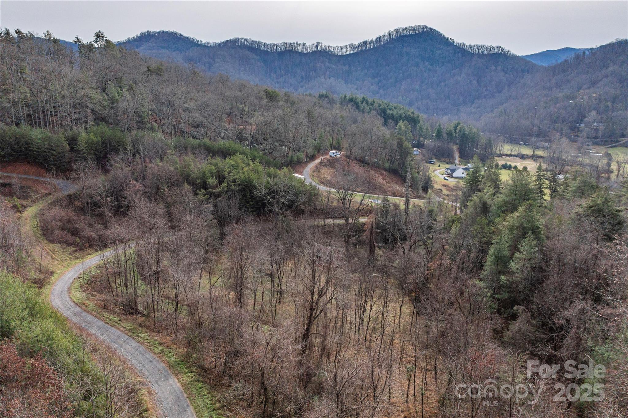 a view of a house with a mountain and a forest